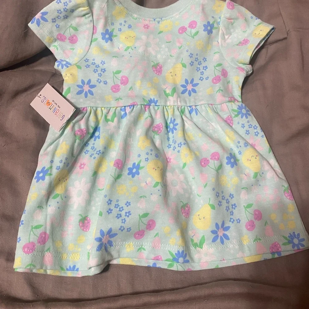 Garanimals Light Green Dress‎ with Floral Print